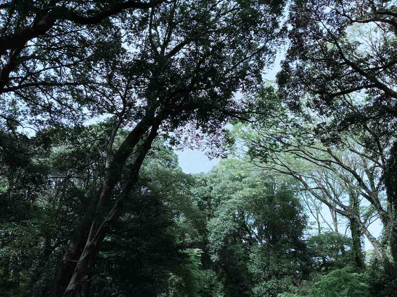 『大阿闍梨 酒井雄哉の遺言 師弟珍問答』 玄秀盛