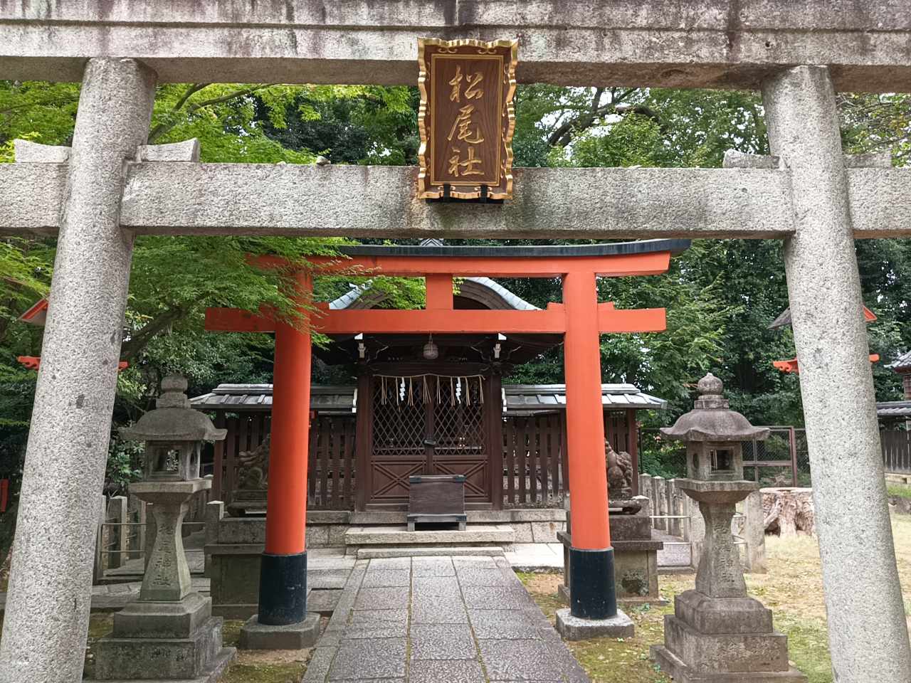 『お金を呼び込む龍』 SHINGO