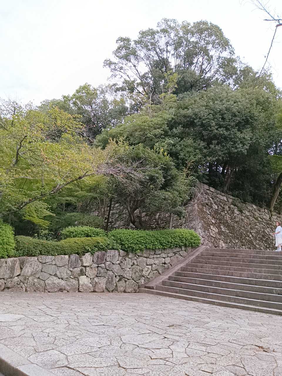 『誠に生く 草舟言行録３』 執行草舟