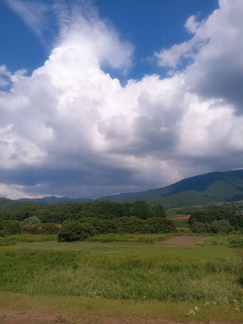『禅と哲学のあいだ  平等は差別をもって現れる』 形山睡峰