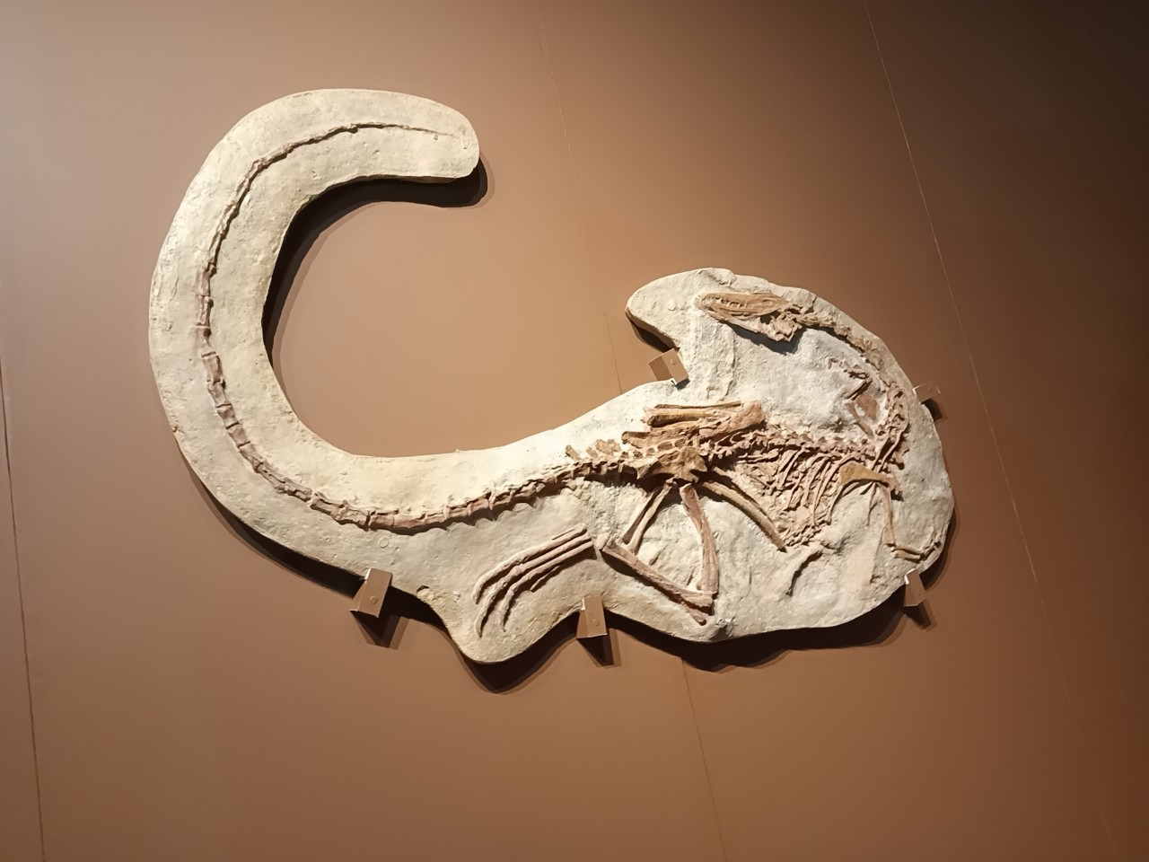 『自分の幸せに気づく心理学 「無名兵士の言葉」が 教える大切なこと』 加藤諦三