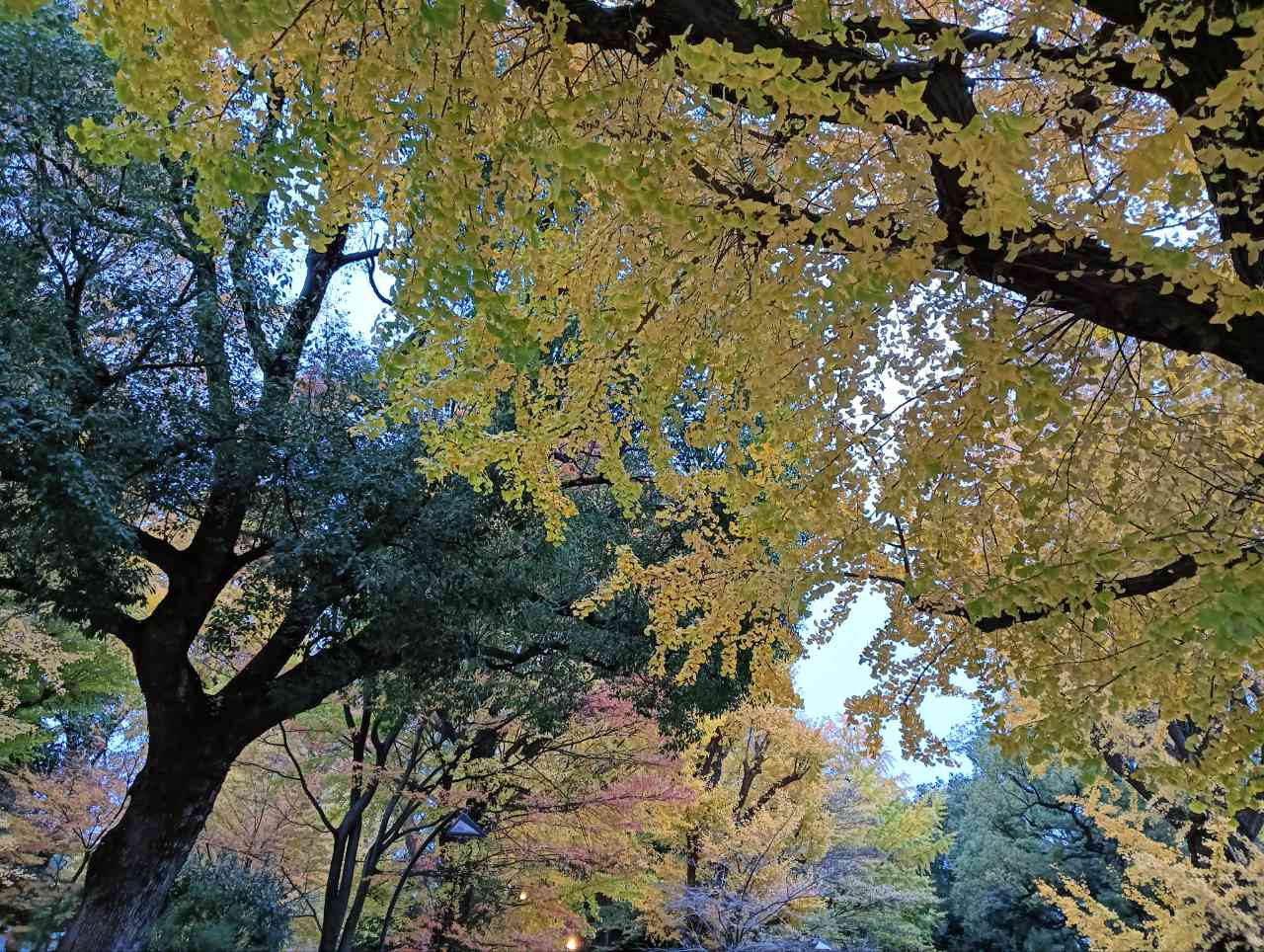 『恐ろしいほどお金の神様に好かれる方法』 心理カウンセラーｍａｓａ