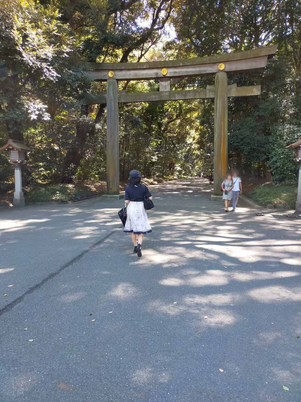 『歩く人はボケない 町医者30年の結論』 長尾和宏