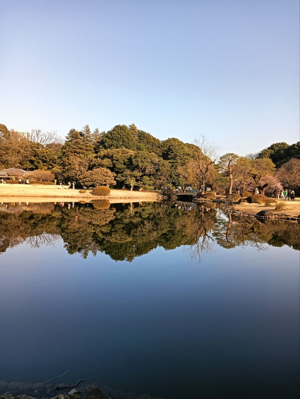 『人はどう老いるのか 医者はホントは知っている 楽な老い方 苦しむ老い方』 久坂部羊