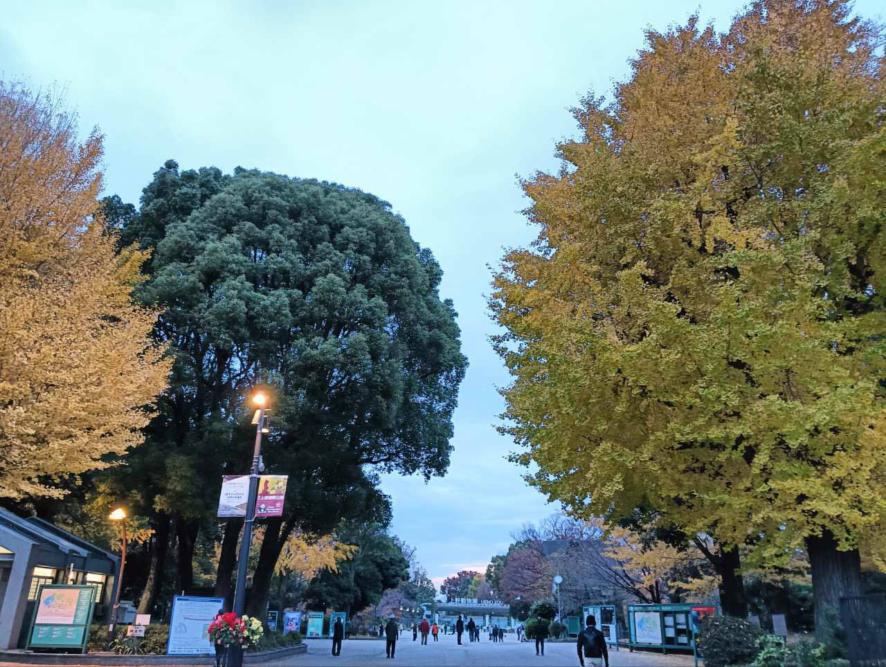 『いい肥満、悪い肥満』 伊藤裕