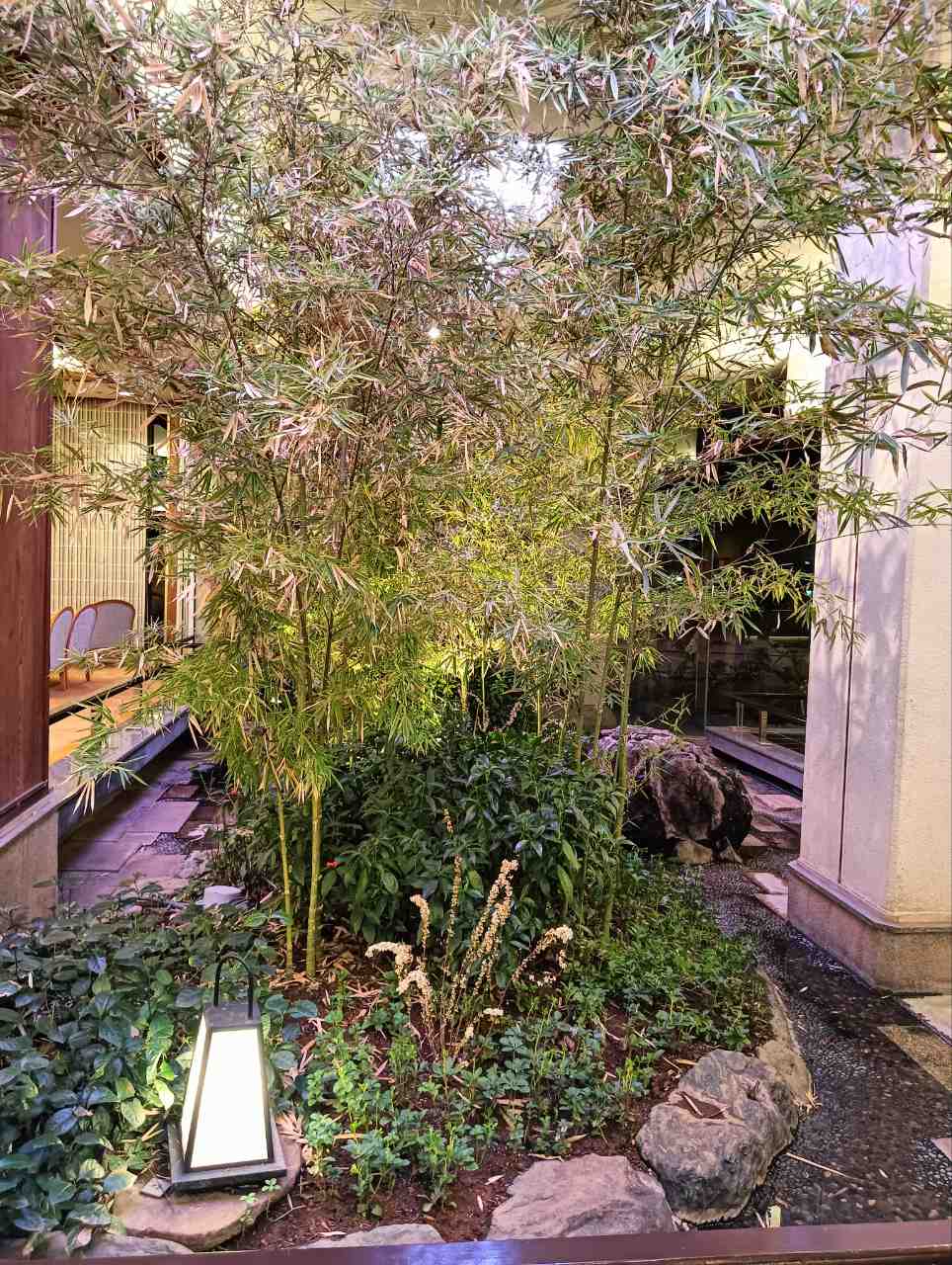 『生きる力 森田正馬の15の提言』 帚木蓬生