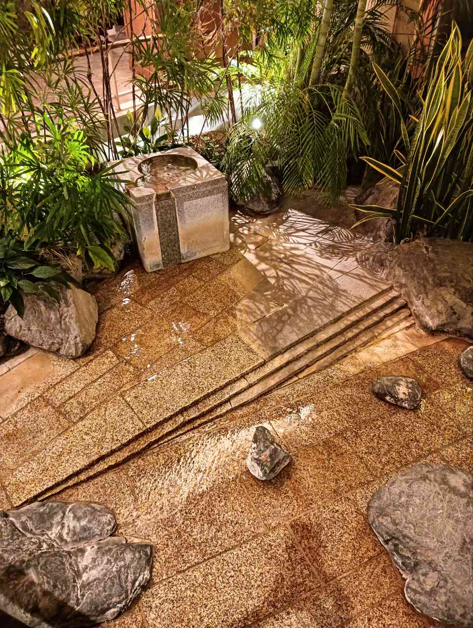 『美しく残酷なヒトの本性 遺伝子、言語、自意識の謎に迫る』 長谷川眞理子