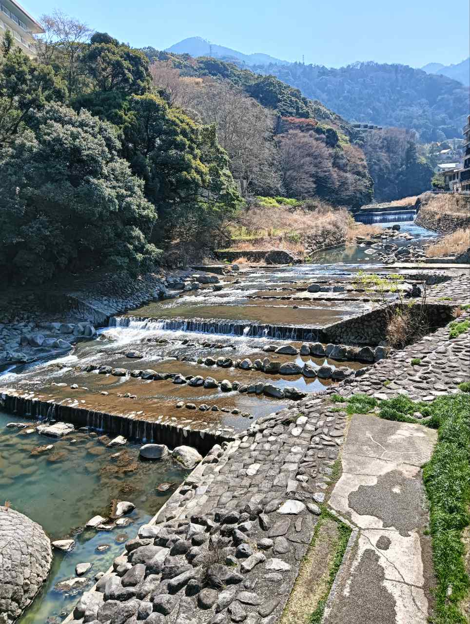 『真面目に生きると損をする』 池田清彦