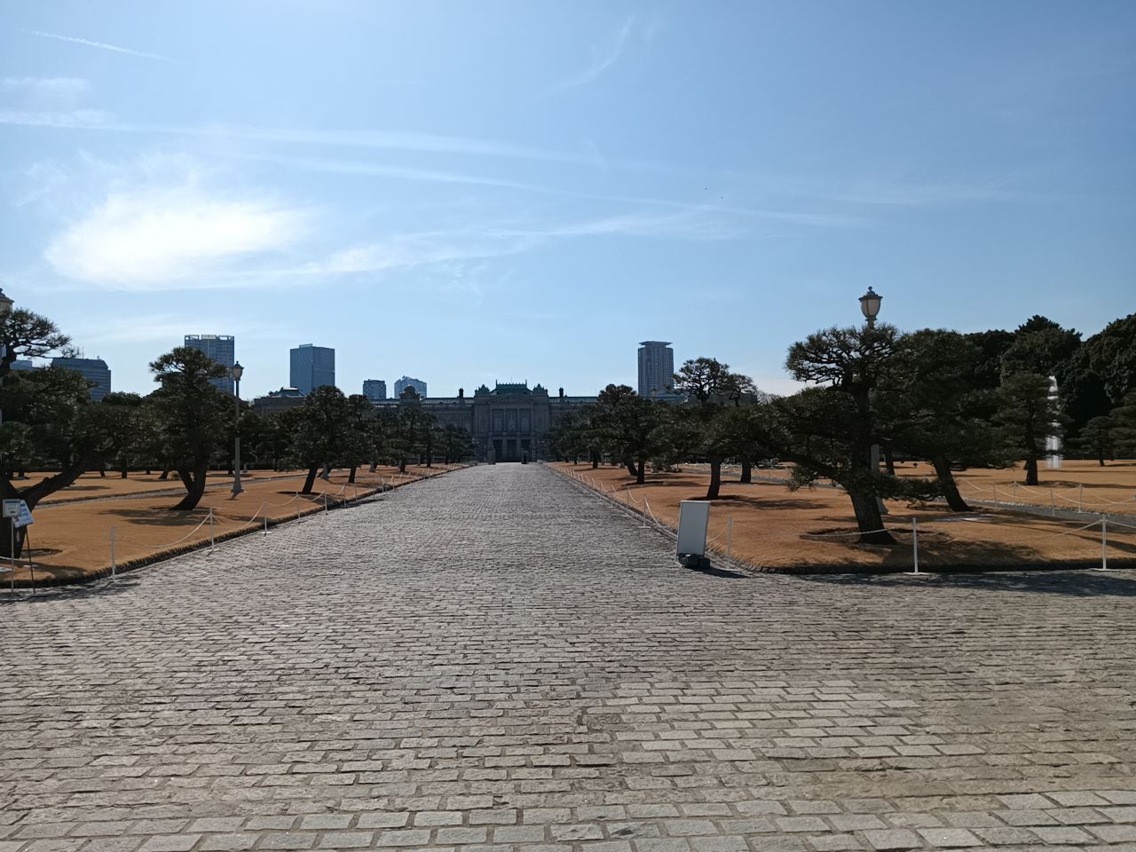 『単身リスク 「100年人生」をどう生きるか』 山田昌弘